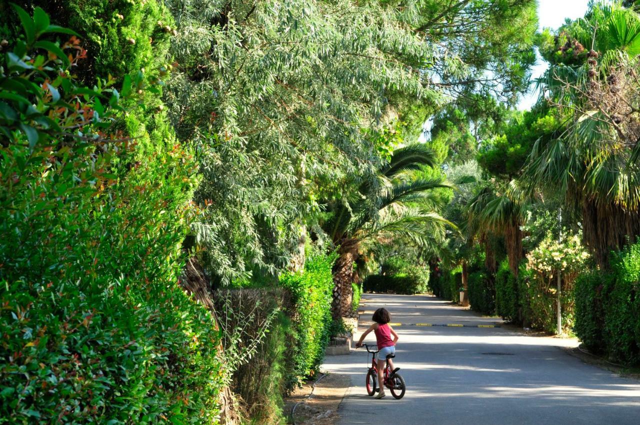 La Palmeraie Camping 4*